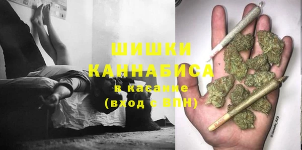 прущие грибы Волоколамск