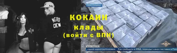 прущие грибы Волоколамск