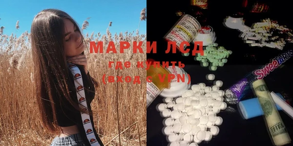 скорость Вяземский
