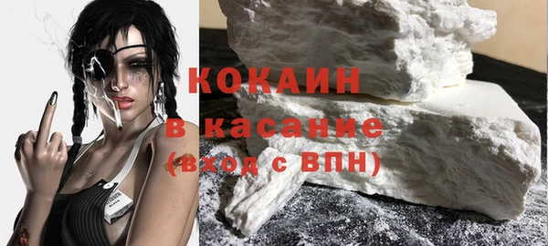 прущие грибы Волоколамск