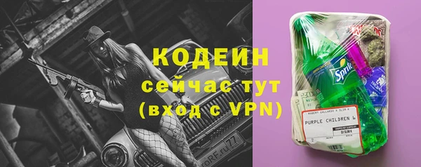 скорость Вяземский