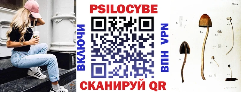 купить  сайты  Енисейск  omg tor  Псилоцибиновые грибы Magic Shrooms 